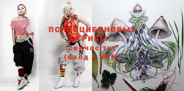 героин Краснослободск